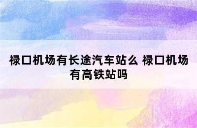 禄口机场有长途汽车站么 禄口机场有高铁站吗